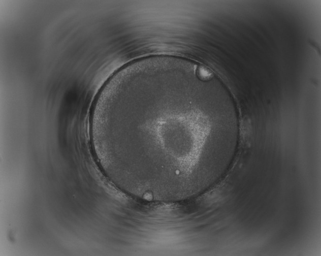 X0000103960891200810101242