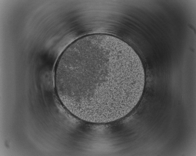 X0000103960892200810101242