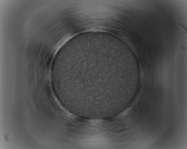 X0000103960893200810101242