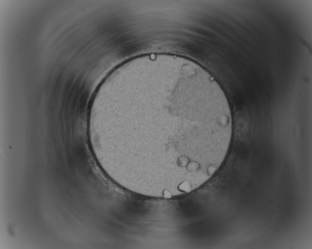 X0000103960896200810101242