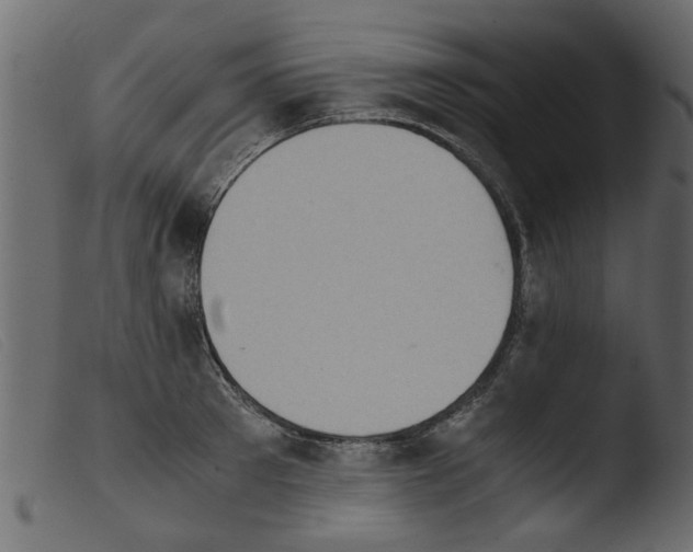 X0000103960897200810101242