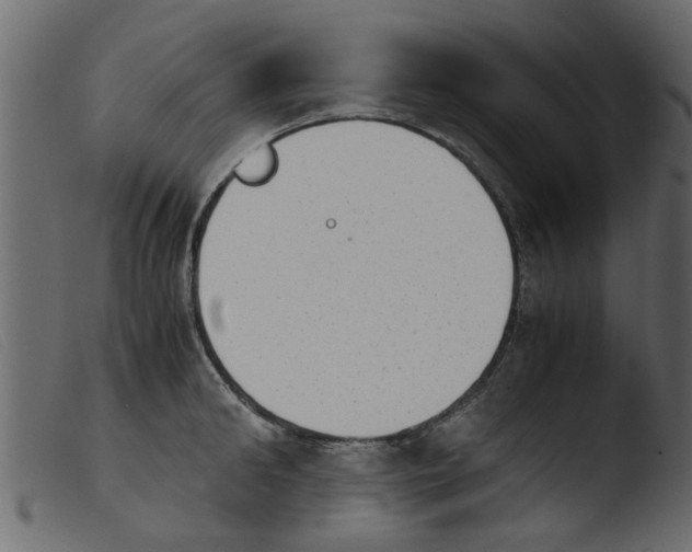 X0000103960902200810101242