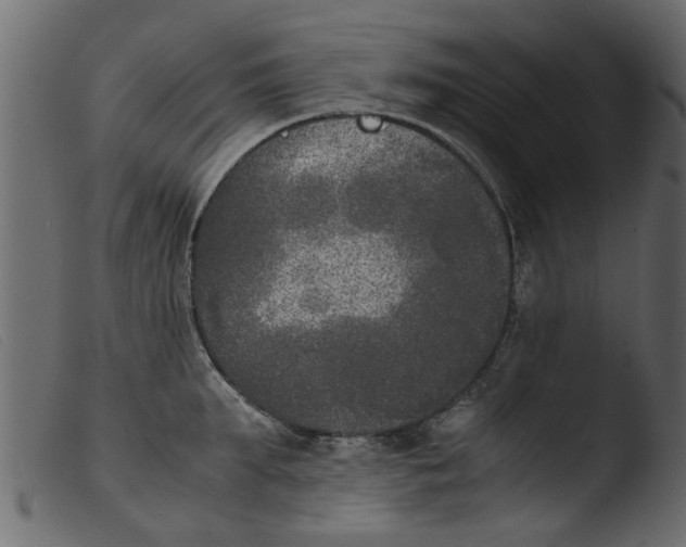 X0000103960903200810101242