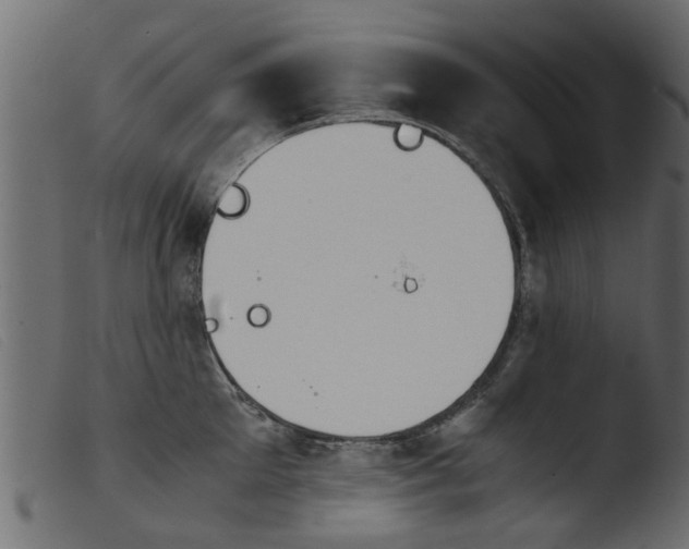 X0000103960905200810101241