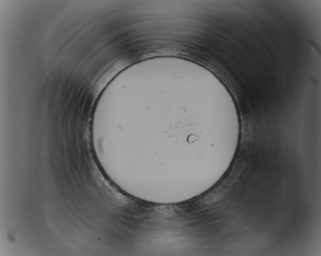 X0000103960906200810101241