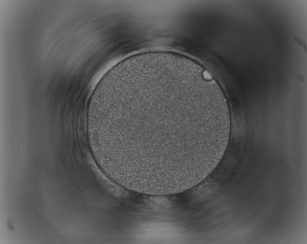 X0000103960911200810101241