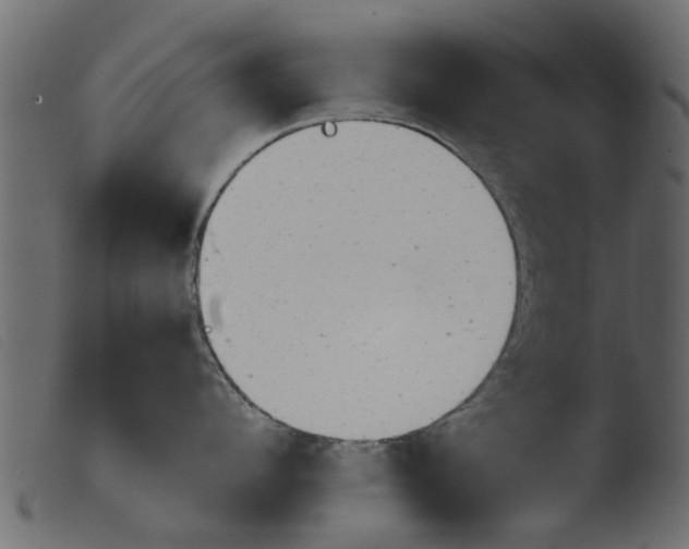 X0000103960912200810101241