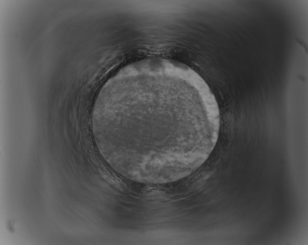 X0000103960913200810101241