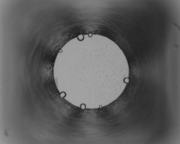 X0000103960914200810101241