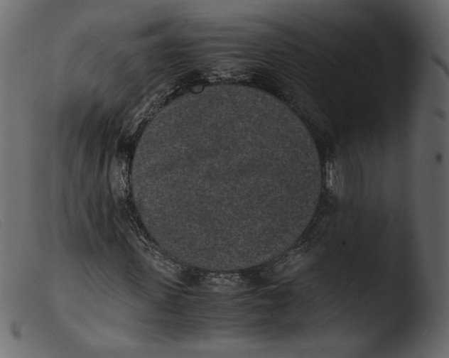 X0000103960915200810101241