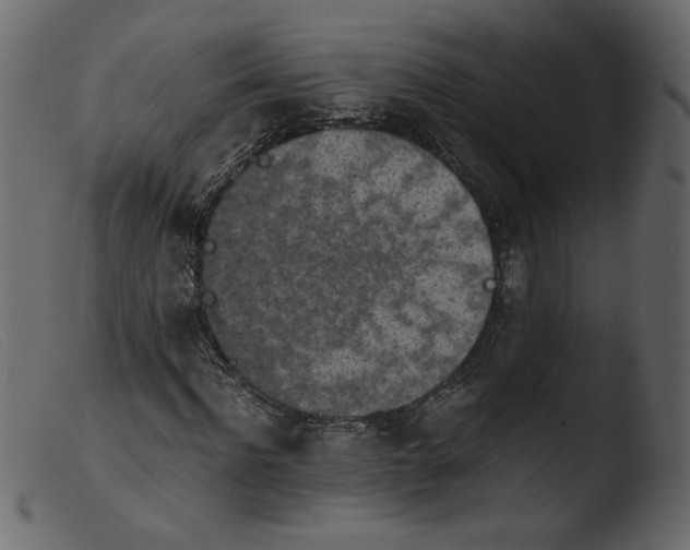 X0000103960916200810101241