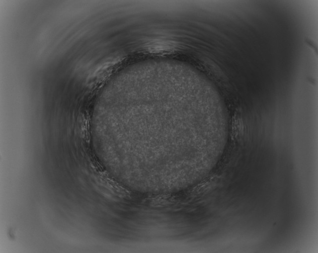 X0000103960917200810101241