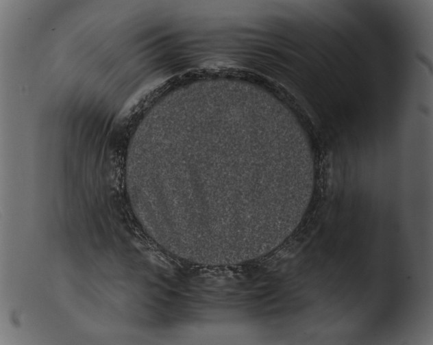 X0000103960919200810101241