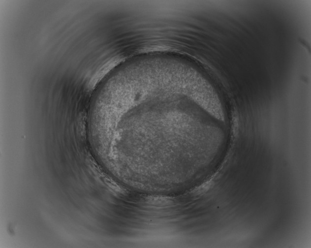 X0000103960921200810101241