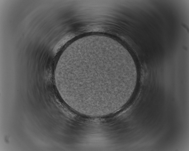 X0000103960922200810101241