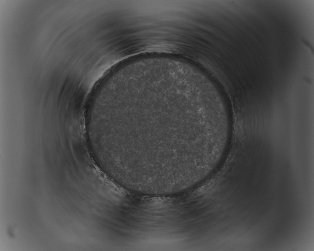 X0000103960923200810101241