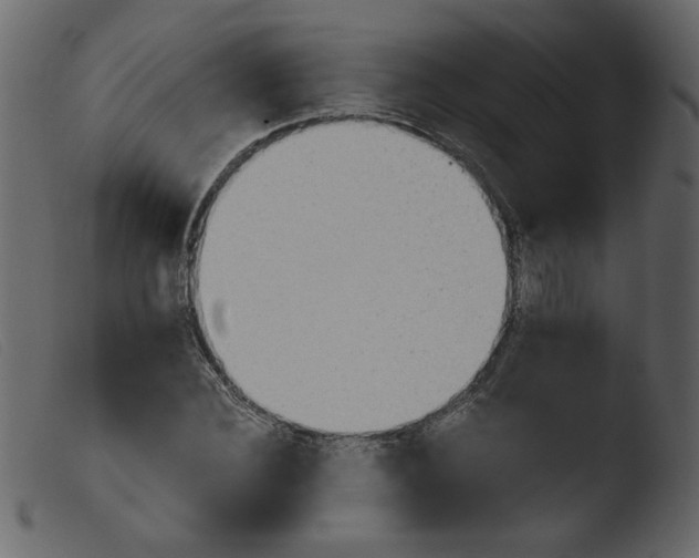 X0000103960924200810101241