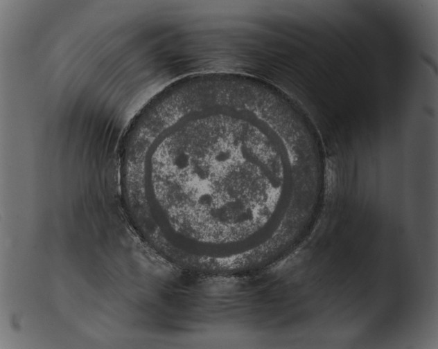 X0000103960925200810101241