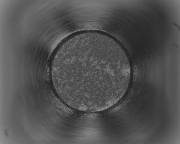 X0000103960926200810101241