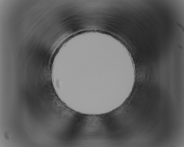 X0000103960927200810101241