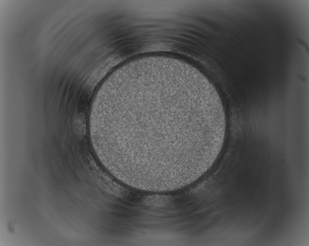 X0000103960929200810101241