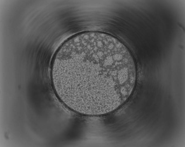 X0000103960932200810101241