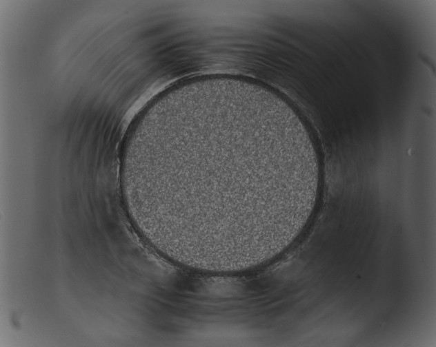 X0000103960933200810101241