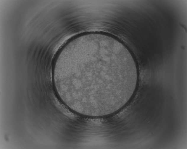 X0000103960934200810101241