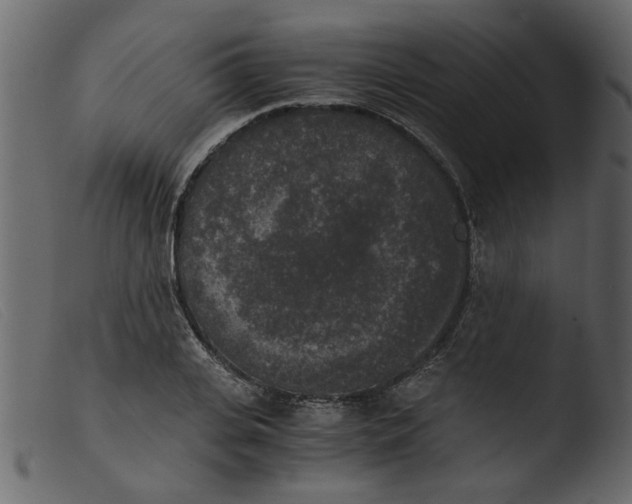 X0000103960935200810101241