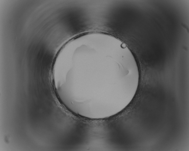 X0000103960936200810101241