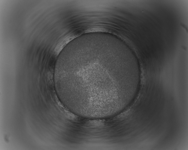 X0000103960937200810101241