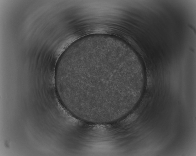 X0000103960938200810101241