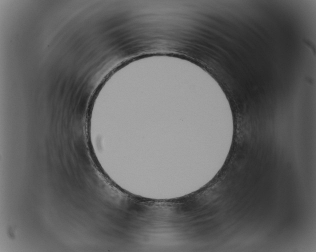 X0000103960942200810101241