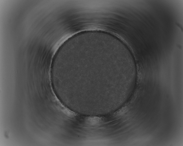 X0000103960943200810101241