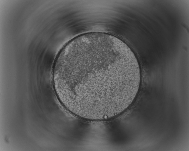 X0000103960944200810101241