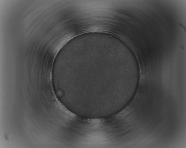 X0000103960946200810101241