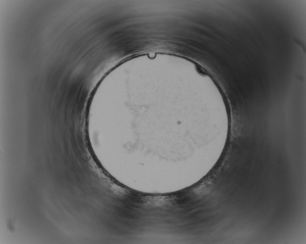 X0000103960949200810101241