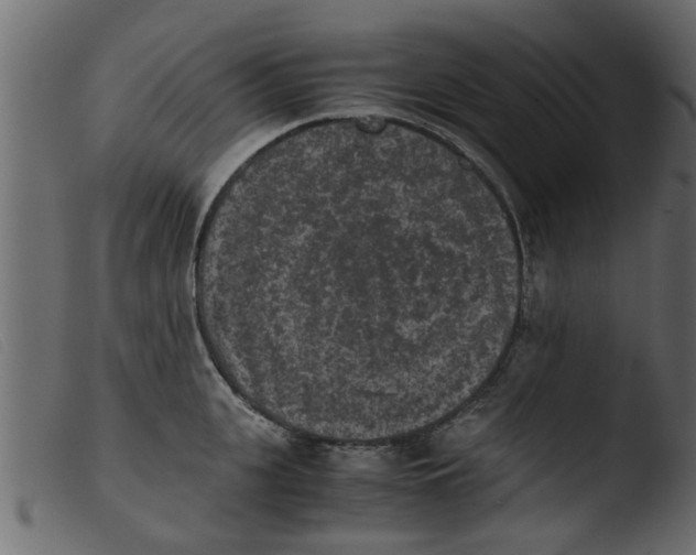 X0000103960951200810101241