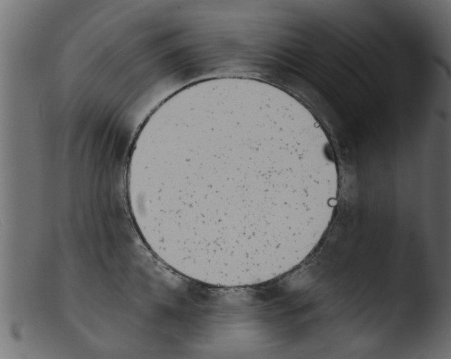 X0000103960952200810101241