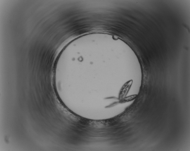 X0000103960955200810101241