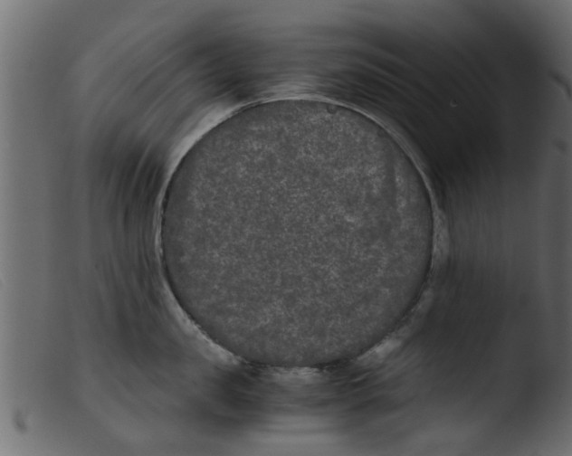 X0000103960957200810101241