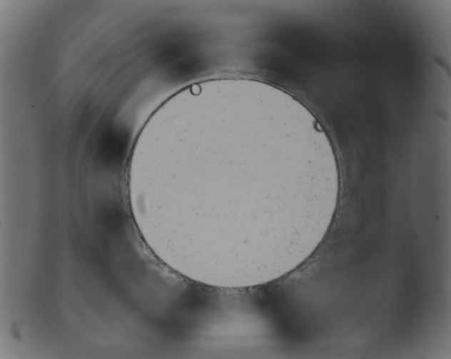 X0000103960960200810101241