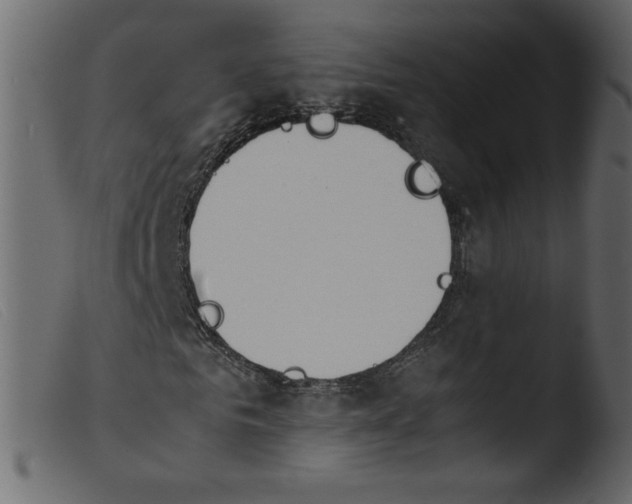 X0000103960961200810101241