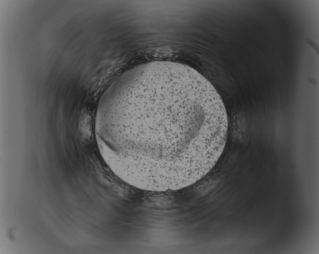 X0000103960962200810101241