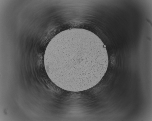 X0000103960964200810101241