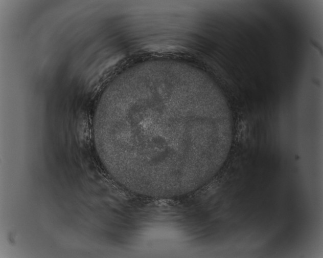 X0000103960966200810101241