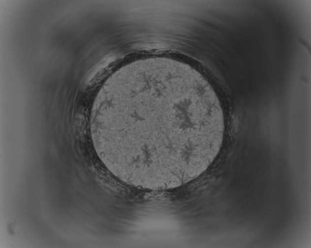 X0000103960967200810101241