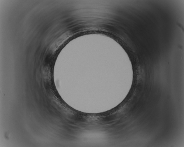 X0000103960969200810101241