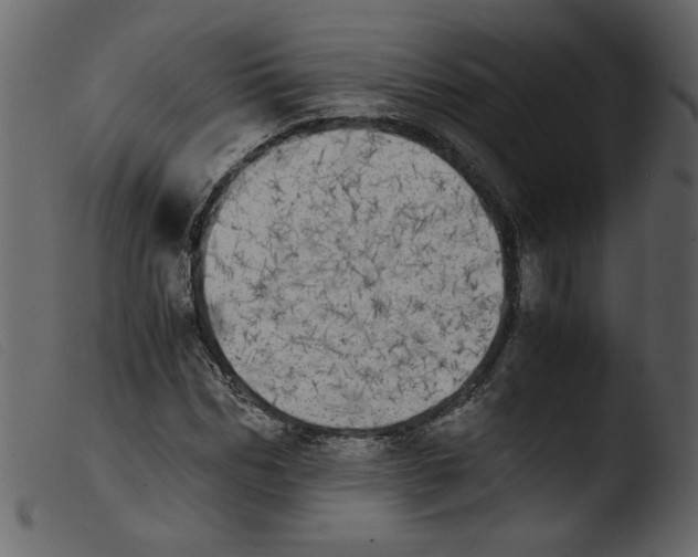 X0000103960970200810101241