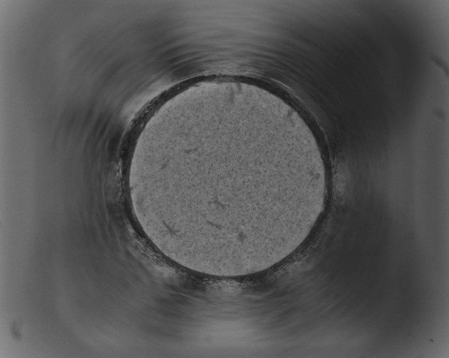 X0000103960971200810101241